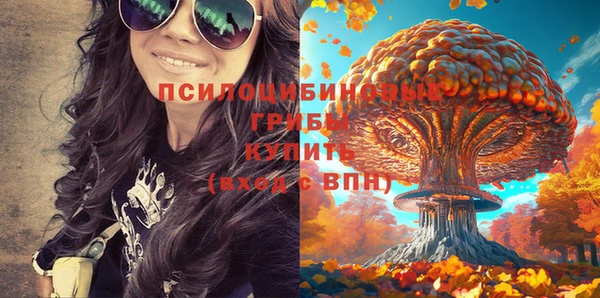 спиды Алексин